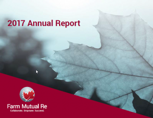 Cover of the 2017 annual report