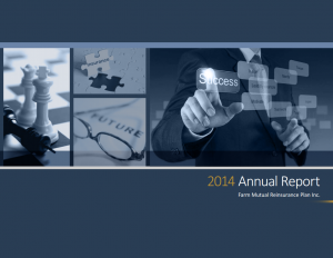 Cover of the 2014 annual report